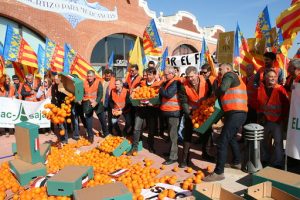 Los citricultores protestan en el puerto de Castellón contra la llegada de agrios de Egipto