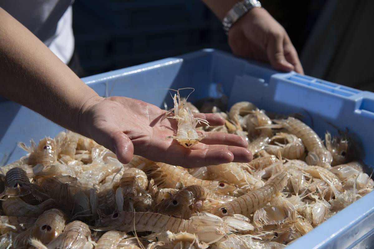 La Diputación promociona la dualidad gastronómica de la costa y el interior como recurso turístico para dinamizar los pueblos