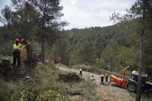 La Diputación refuerza la prevención de incendios en las zonas más sensibles del interior