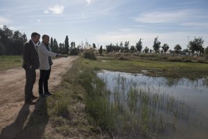 La Diputación reunirá a los ayuntamientos y la Generalitat en los próximos días para agilizar el Plan Provincial contra los Mosquitos