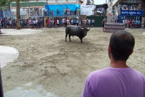 Juventud convoca el concurso de carteles para las fiestas de San Pedro