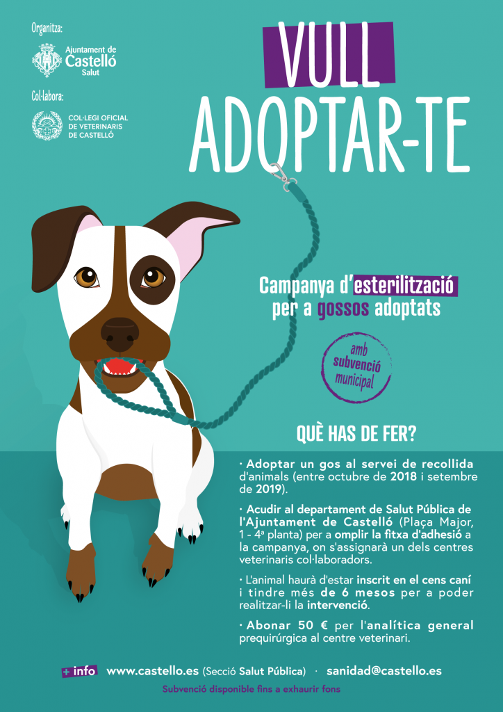 Castellón subvenciona la esterilización de perros adoptados en el servicio municipal de recogida