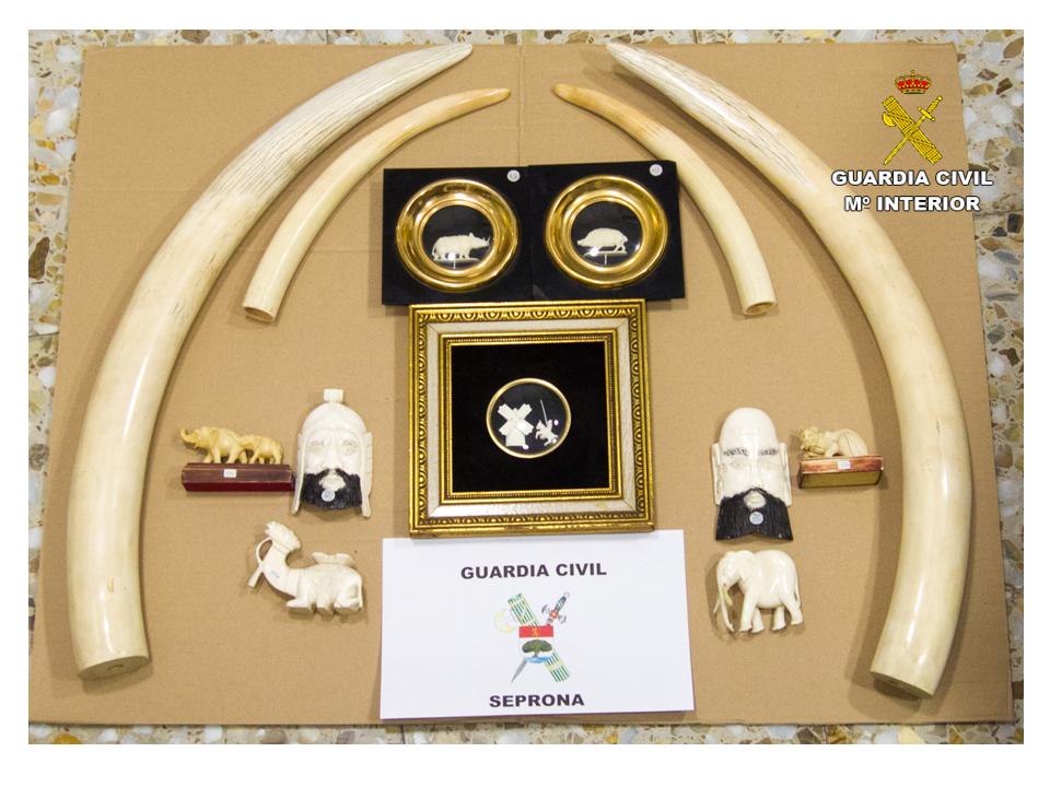 La Guardia Civil de Alicante incauta 26 objetos de marfil de Elefante Africano y de Elefante Asiático