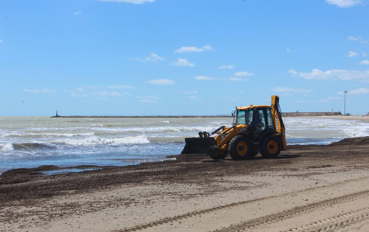 Burriana renueva los trabajos de limpieza y acondicionamiento de las playas