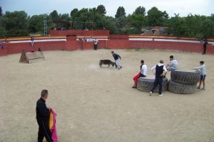 Los árbitros de fútbol celebraron su tradicional capea anual