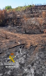 La Guardia Civil investiga a una persona por un incendio forestal en San Mateo