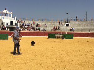 La XXIII Fira de la Magdalena protagonista en Vilafranca