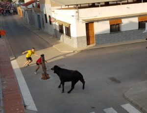 Comienzan las exhibiciones taurinas en la playa Casablanca de Almenara