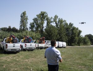 La Diputación de Castellón iniciará mañana los tratamientos contra los mosquitos en el sector norte