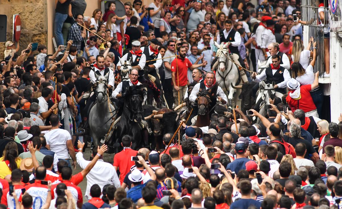 La mejor Entrada de Toros y Caballos de esta semana