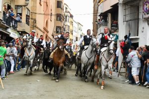 La tercera Entrada de Toros y Caballos de Segorbe ha rozado la perfección La tercera Entrada de Toros y Caballos de Segorbe ha rozado la perfección