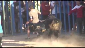 Muere un hombre al sufrir una grave cogida de un toro en Alcora