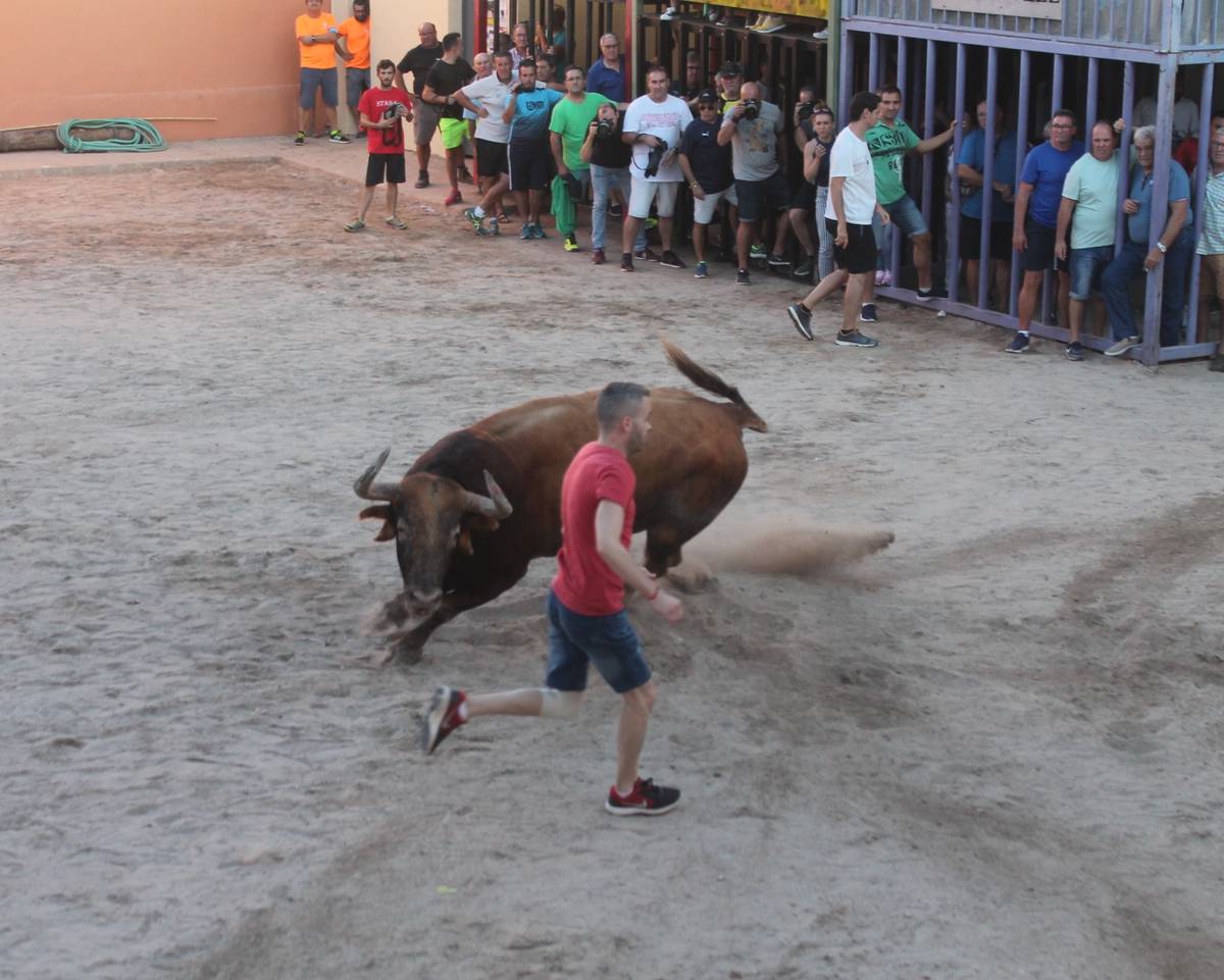 Vuelven a Almenara los actos taurinos tras dos días de celebraciones religiosas