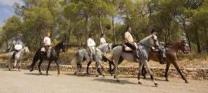 El Ayuntamiento constituye el Consejo de Participación del Paraje Natural Municipal de La Esperanza, de Segorbe