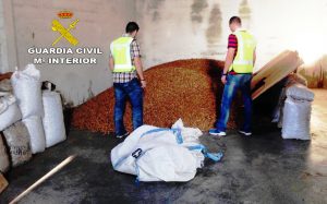 La Guardia Civil detiene a una persona por el robo y hurto de 2.600 kilogramos de almendra en Altura y Jérica