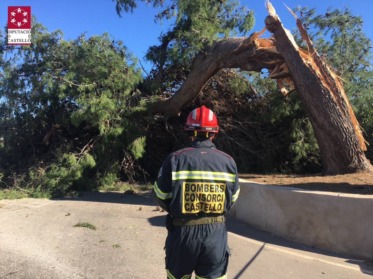 La Diputación moviliza al Consorcio de Bomberos y efectúa una treintena de servicios de urgencia por el episodio de viento