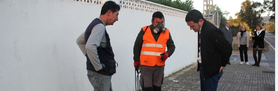 Castellón valora en 200.000 euros la ampliación de los tratamientos antimosquitos