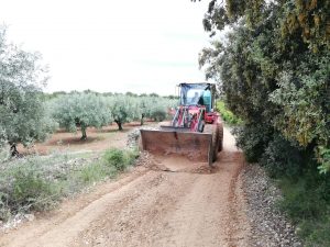 Maquinaria de la Diputación realiza actuaciones de mejora en varios caminos del término de Càlig