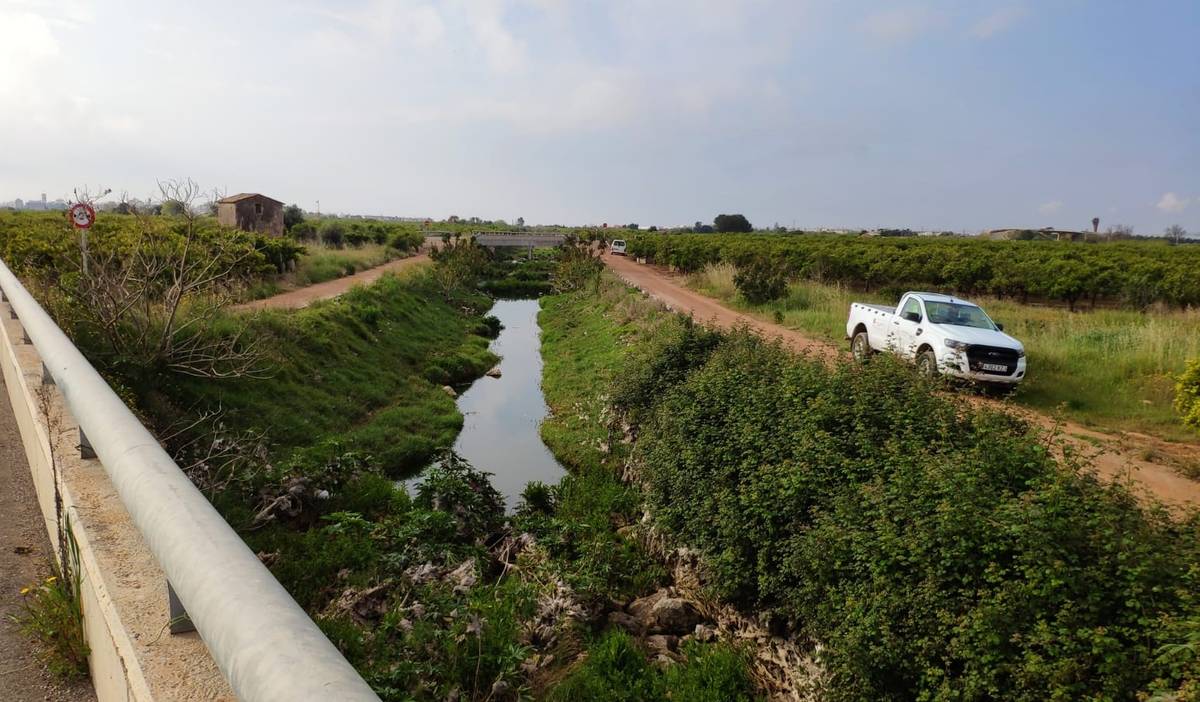 El Ayuntamiento de Vila-real intensifica los tratamientos contra los mosquitos tras las recientes lluvias