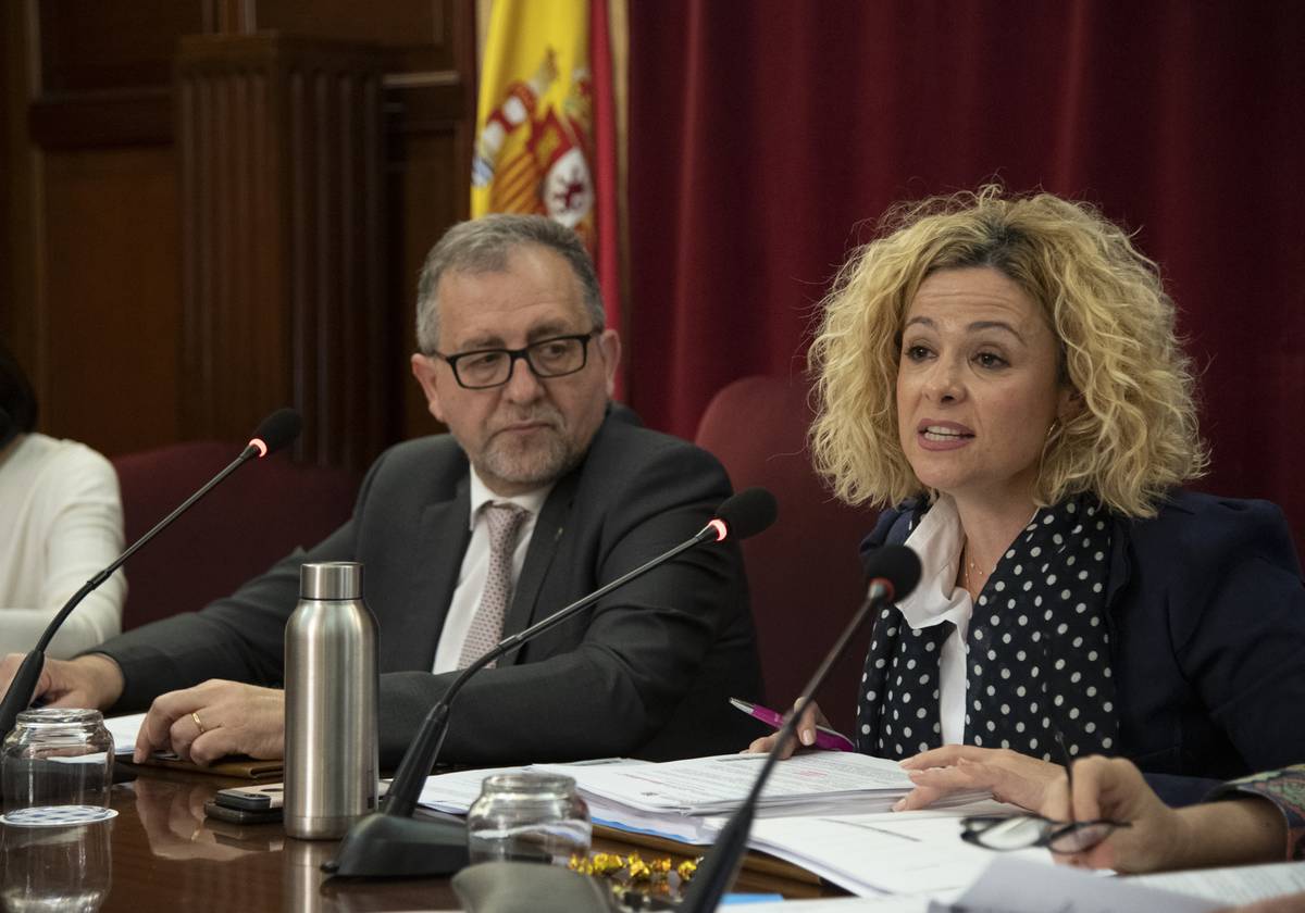 El Patronato Provincial de Turismo traslada a la mesa de diálogo de la Diputación las propuestas del sector para articular una salida a la crisis de la COVID-19