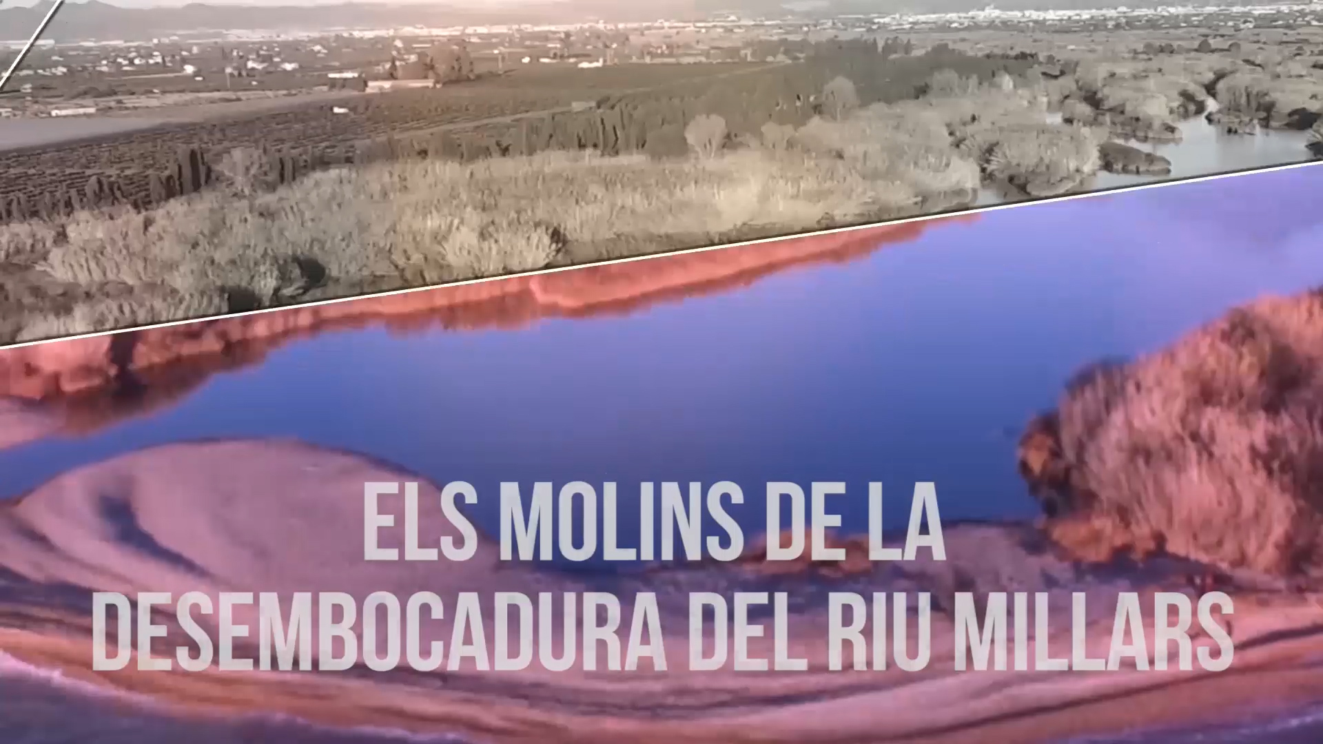 El Consorcio gestor del Paisaje Protegido de la Desembocadura del río Mijares muestra los molinos históricos