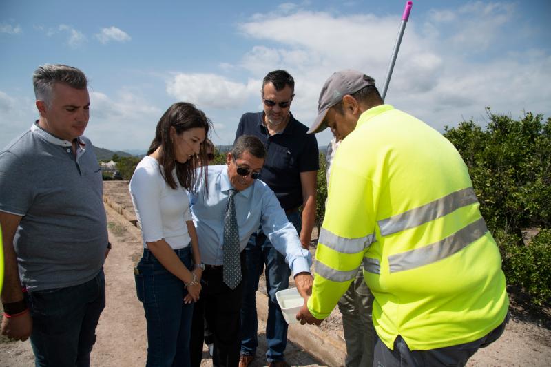 La Diputación de Castellón formará a los técnicos municipales para mejorar la efectividad de las actuaciones frente a los mosquitos