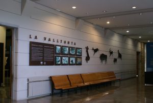 Reabre el Museu de la Valltorta en el Día de los Museos