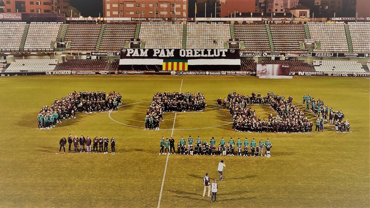 Conclusión de campeonatos 19/20 para los equipos de la Cantera Albinegra