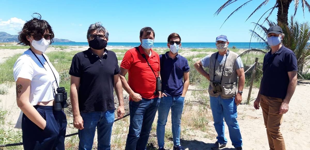 Transición Ecológica trabaja con Gecen y el Grup Au d’Ornitologia para mejorar el hábitat del chorlitejo patinegro