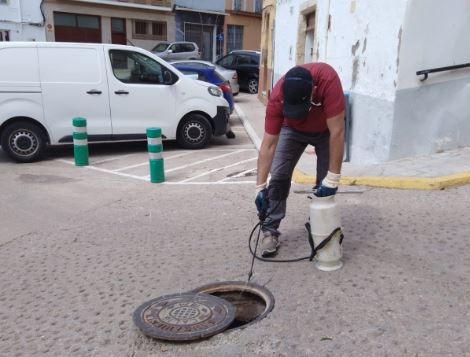 Càlig inicia el tratamiento para combatir los mosquitos