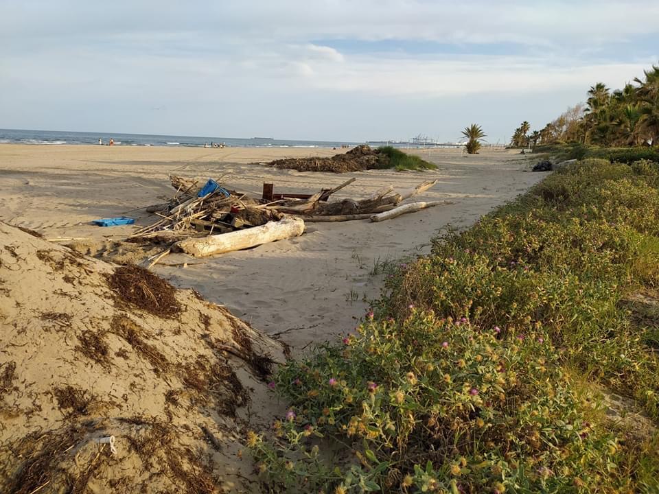 Carrasco exige a Amparo Marco que defina cuándo abrirán los negocios en las playas y qué medidas de seguridad aplicarán