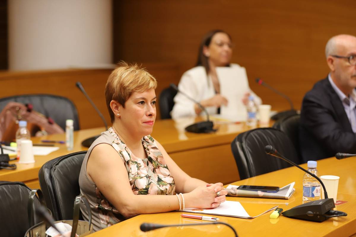 Ciudadanos propone que se hagan pruebas diagnósticas de la Covid-19 a los docentes ante el inicio de curso