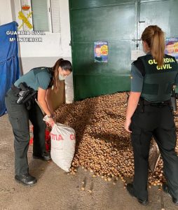 La Guardia Civil impide el robo de casi 2 toneladas de almendras y detiene a dos personas en dos operaciones en las localidades de Cabanes y Alcora