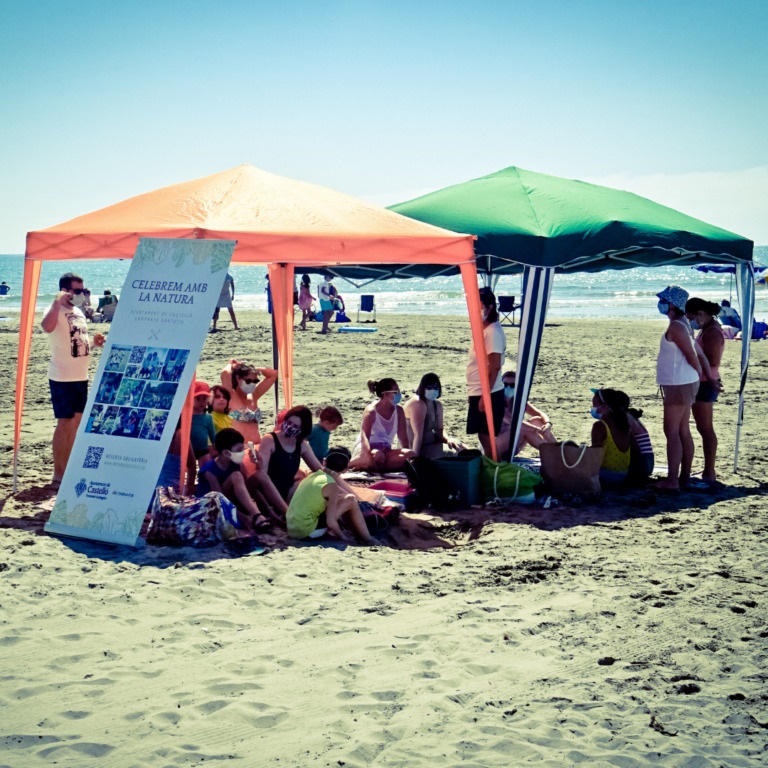 Transición Ecológica organiza este fin de semana una doble jornada de limpieza en las playas y una suelta de tortuga