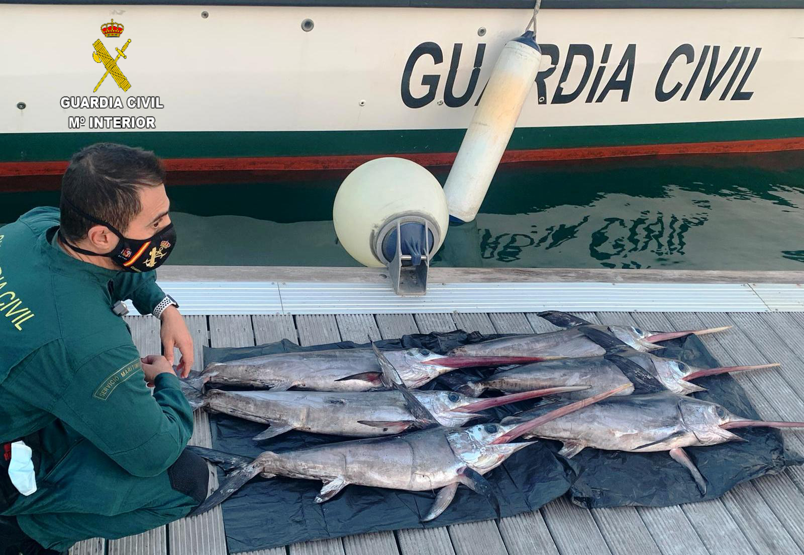La Guardia Civil incauta a una embarcación profesional de pesca seis peces espada de talla antirreglamentaria a unas 15 millas de las Islas Columbretes