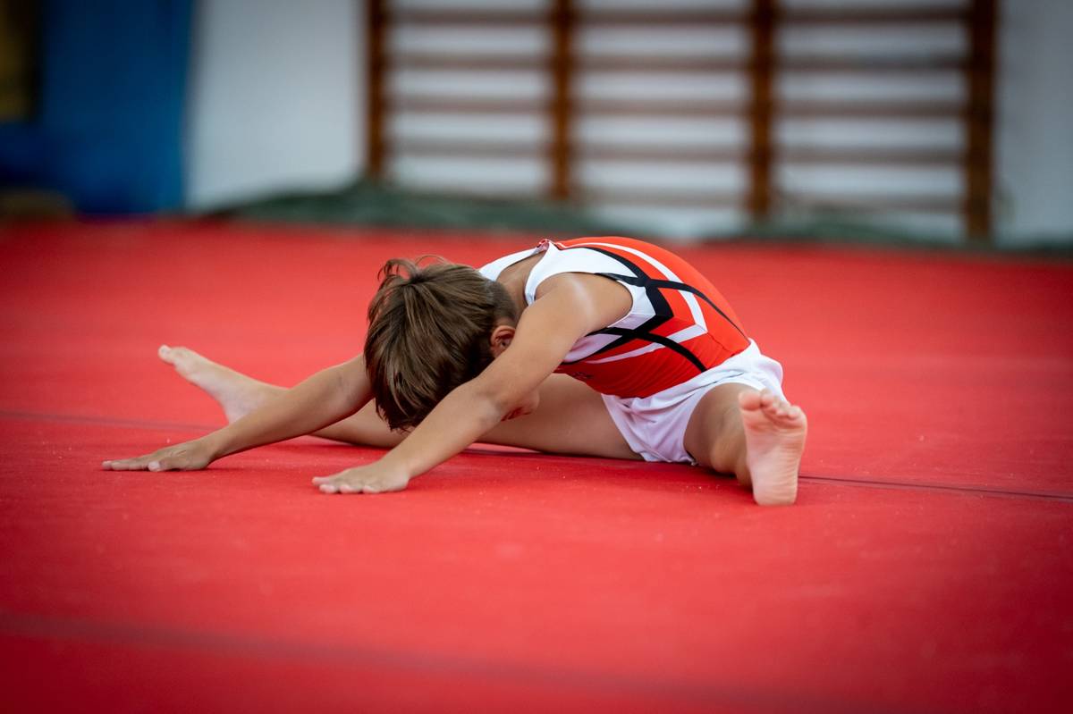 La gimnasia se cita en Castellón