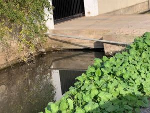 Los vecinos de Marjalería preocupados por el nivel del agua