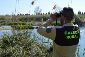 La Consejería de Emergencia Climática y Transición Ecológica prohíbe la pesca en la desembocadura del río Mijares