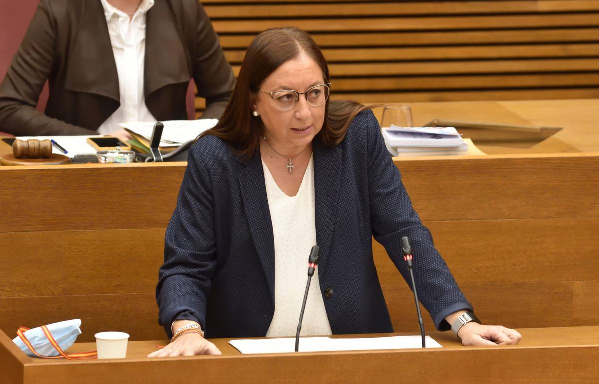 Llanos Massó (VOX) acusa al Botánico de sectario tras rechazar la iniciativa de VOX para instalar purificadores de aire en los colegios y anunciar ahora su instalación