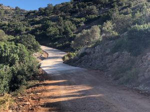 Agricultura mejora el camino del barranco de La Carrera en Santa Magdalena