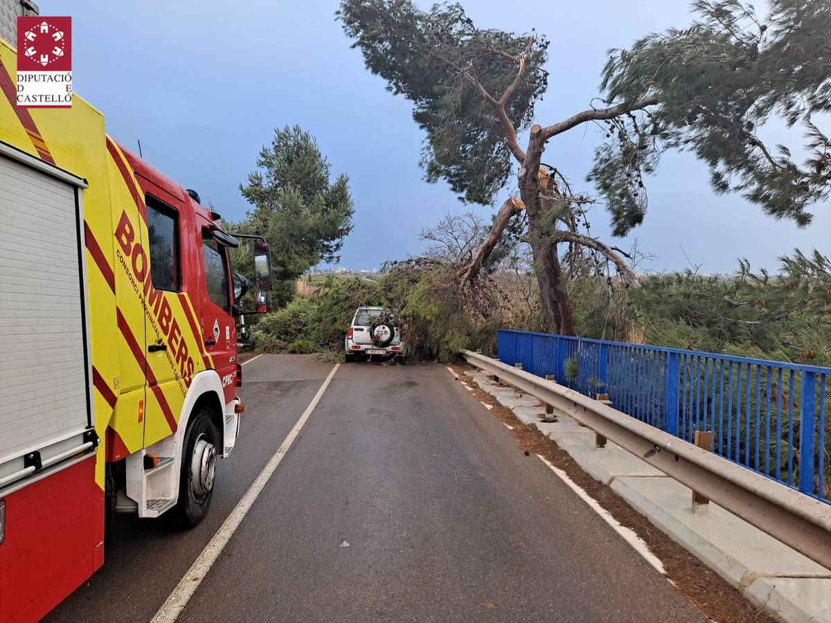 Los Bomberos de la Diputación efectúan 33 actuaciones a lo largo del día a causa del temporal de viento ‘Hortense’