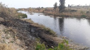 Un pequeño incendio forestal afecta a unos 50 metros cuadrados de cañaveral y aliaga del Paisaje Protegido de la Desembocadura del río Mijares