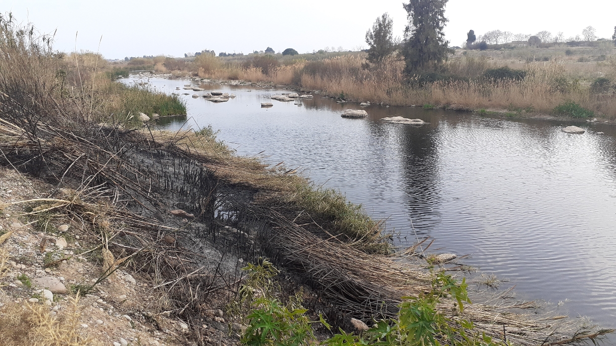 Un pequeño incendio forestal afecta a unos 50 metros cuadrados de cañaveral y aliaga del Paisaje Protegido de la Desembocadura del río Mijares