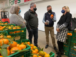 Redondo: “El Mercado de Abastos necesita una actuación integral y no parches porque alimentación y salubridad siempre han de ir de la mano”