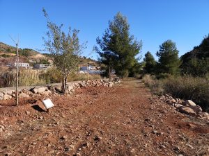 El Ayuntamiento de la Vall d’Uixó vuelve a adecuar la Senda de Quistel tras los actos vandálicos