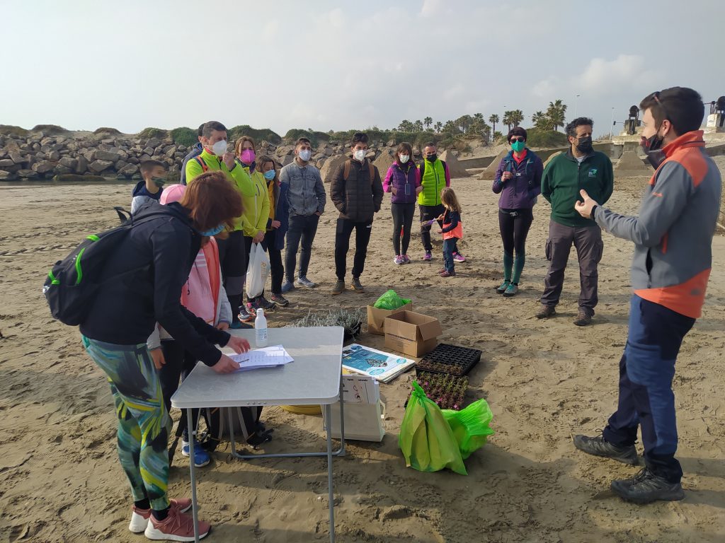 Castellón resalta la riqueza natural de sus playas y mejora el ecosistema del chorlitejo en una jornada de voluntariado ambiental