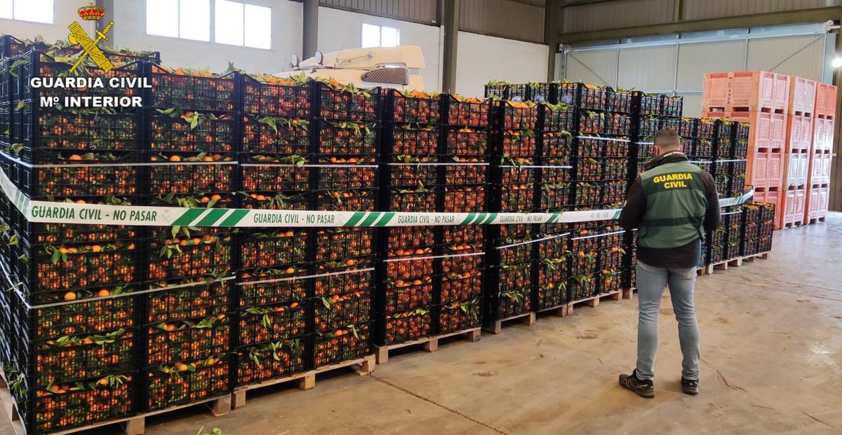 La Guardia Civil investiga a una persona por la sustracción de ocho toneladas de naranjas en Torreblanca