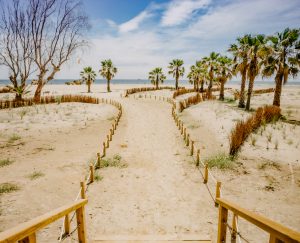 Castellón renueva en las tres playas la bandera que acredita su calidad ambiental, turística y de sostenibilidad