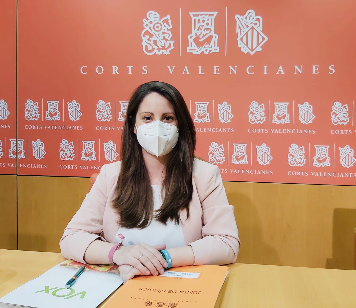 VOX apoyará la comisión de investigación sobre las ayudas al valenciano a las empresas del hermano de Ximo Puig