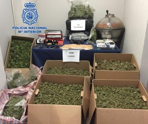 La Policía Nacional detiene a 21 personas y desmantela siete plantaciones de marihuana